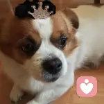 灬悠然靜灬的头像