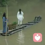 之子于归的头像