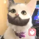 随风逐浪的头像