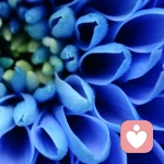 一抹忧伤的头像