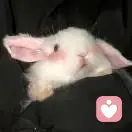 hhh的头像