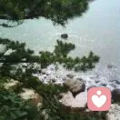 晚风的头像