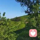 君lll临天下的头像