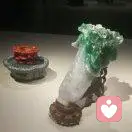 亮哥的头像
