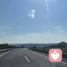 悟道的头像