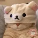 韵音(^ω^)