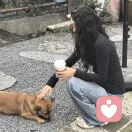 Nirvana的头像