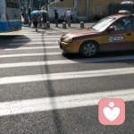 芋头的头像