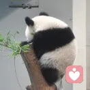 面朝大海的头像