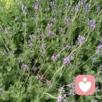 ！听雨	！的头像