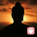 ﹏冷言冷语冷的头像