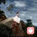 静等花开的头像