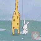 你今天清零了吗