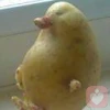 低調奢華有內涵