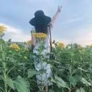 心晴