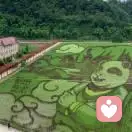 雪野初融的头像