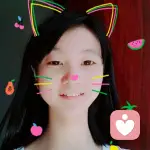 抬头，阳光依旧温暖的头像