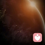 the	mechanic.的头像