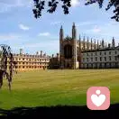 遇见真理的头像