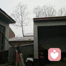 a王维广的头像