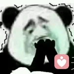 无关风月的头像