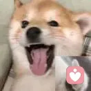 ，，的头像