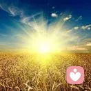 天道酬勤的头像