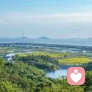 拍打的蜜袋鼯的头像