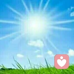 佳德王泽的头像