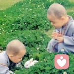 娱+☞無心☜守护的头像