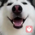 Οo邡飛懜葙оΟ的头像