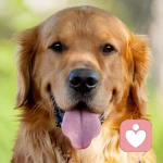 半身不遂的头像