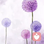 给力琪琪的头像