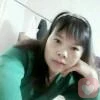 美国七彩山鸡(野鸡)批发