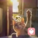 金木鑫源的头像