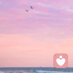 信如磐，念如顽的头像