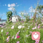 ❀ 春暖丶花开 ❀的头像