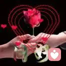 人生如梦的头像