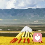 有聊的人的头像