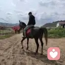 走走道丢了的头像