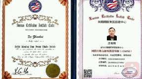 国际注册高级幼儿指导师证书