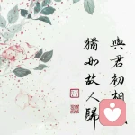 耀眼辉煌的头像