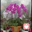 海阔天空的头像