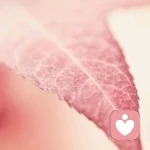 测试咨询师的头像