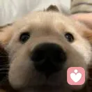 加强我的无敌帧的头像