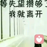。。，的头像