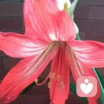 谢九香18022579788的头像