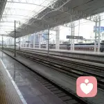 刘关键帧的头像