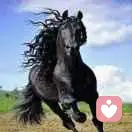 信马由缰的头像