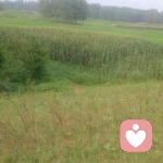 我能做的是什么呢？的头像